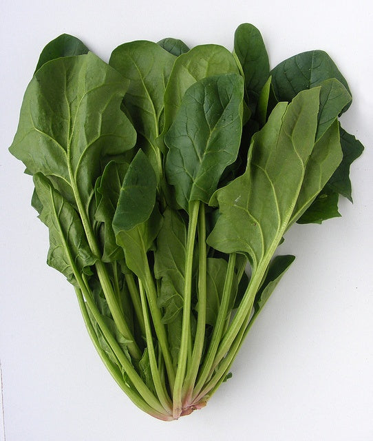 SPINACH