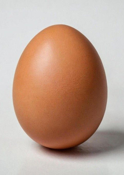 EGG