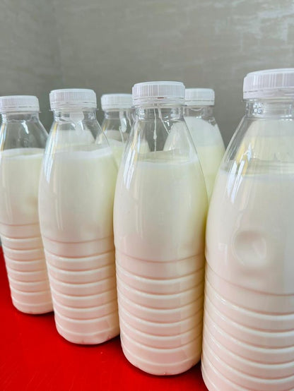 MILK