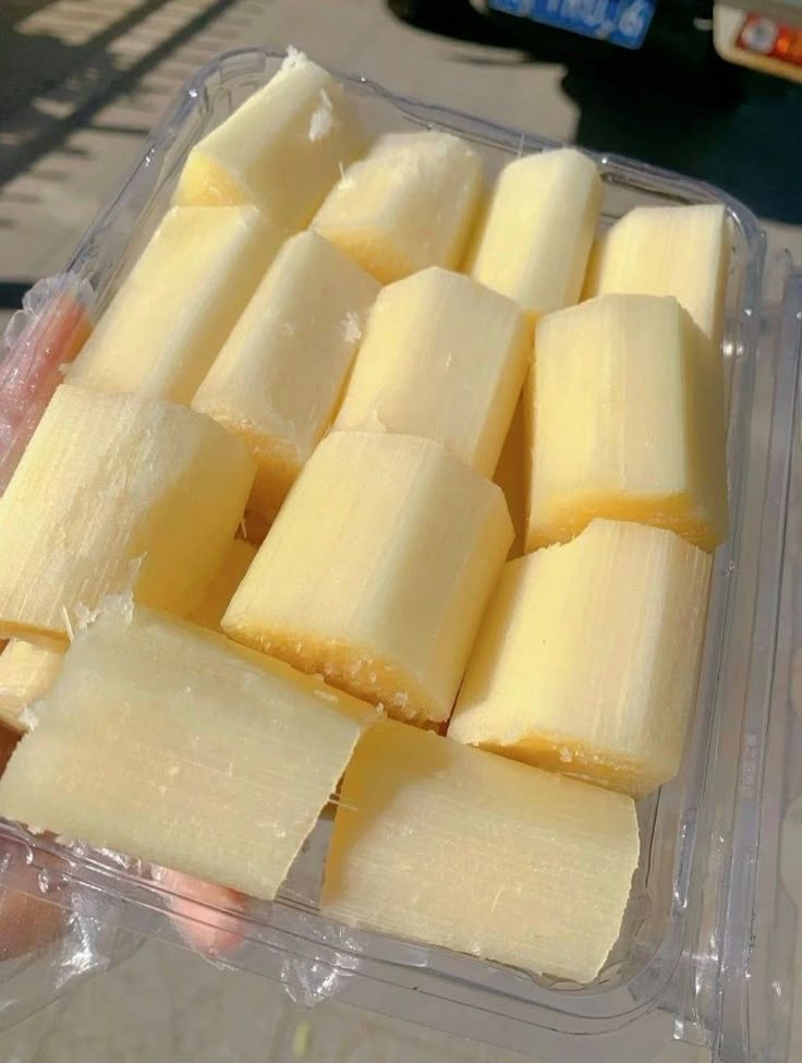 SUGARCANE