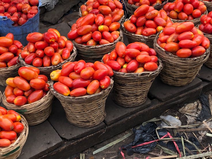 RED TOMATOES