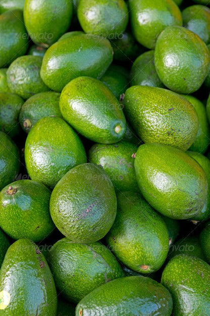 AVOCADO