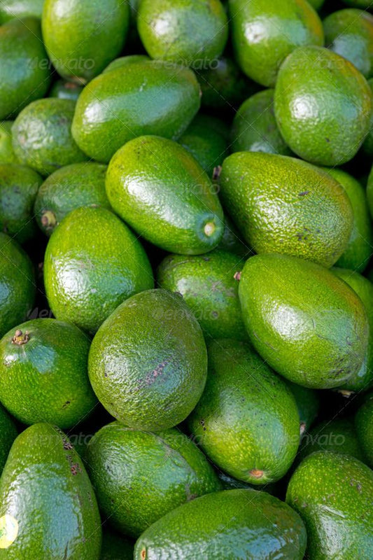 AVOCADO