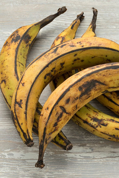 PLANTAIN