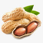 GROUNDNUT