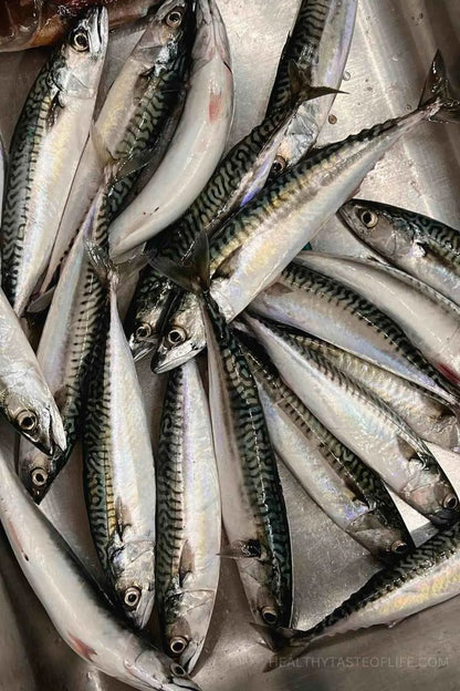 MACKEREL