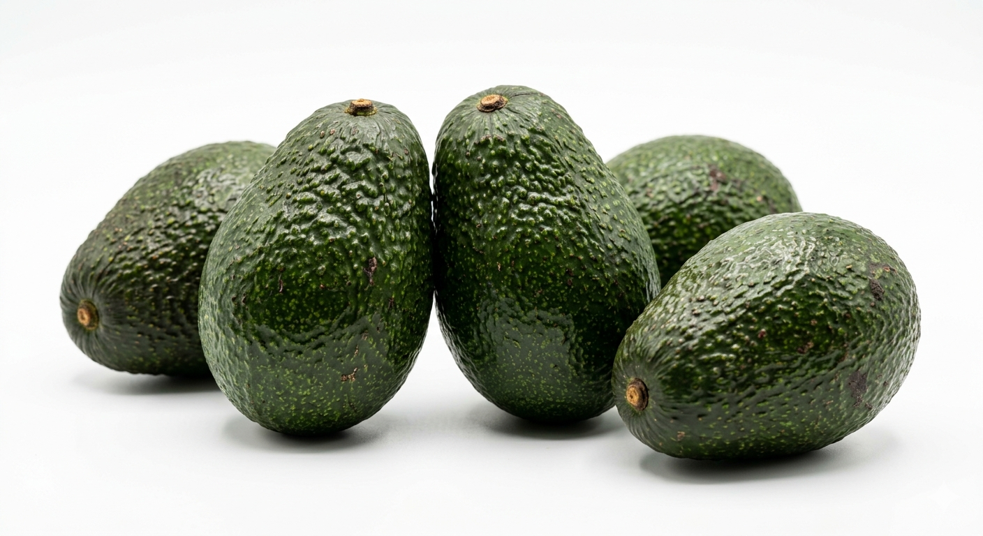 AVOCADO