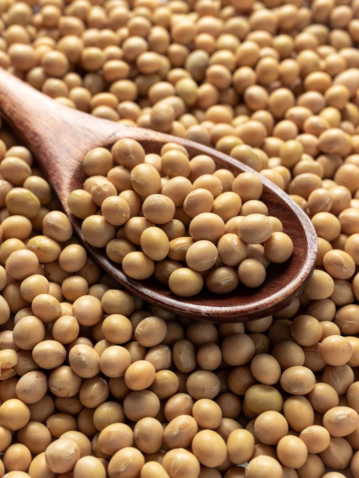 SOYBEAN