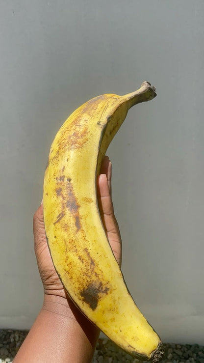 PLANTAIN