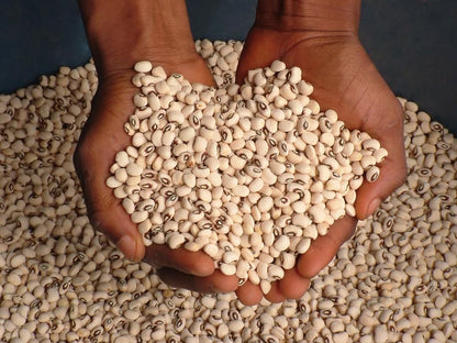 COWPEA