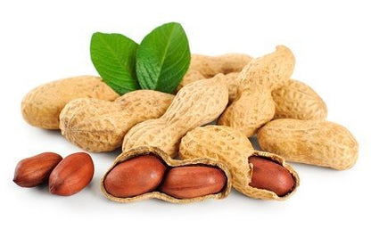 GROUNDNUT