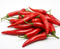 FRESH PEPPER