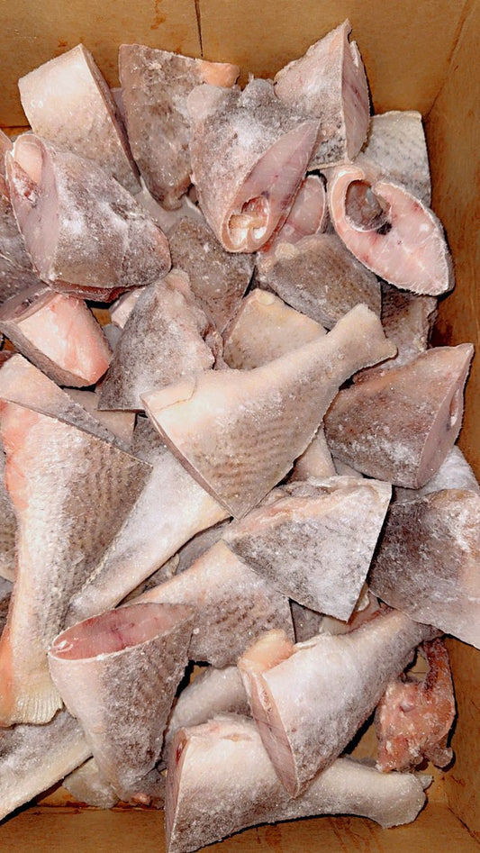 CROAKER