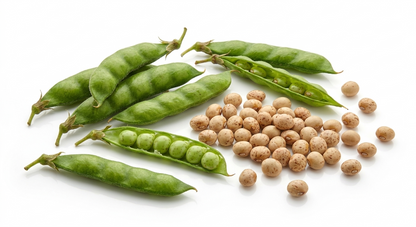 PIGEON PEA