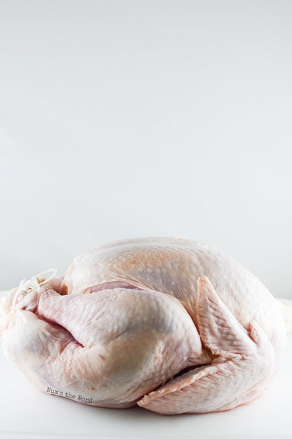 TURKEY