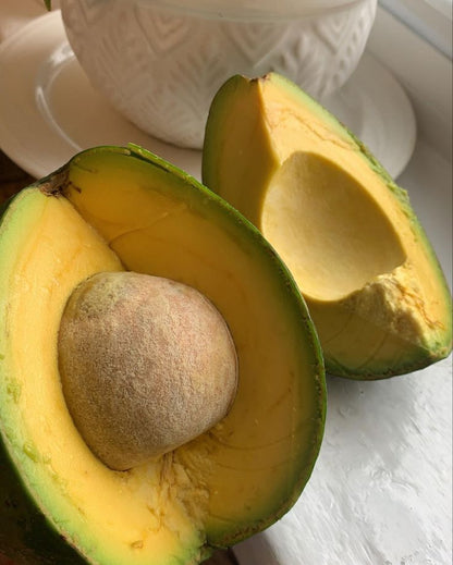 AVOCADO