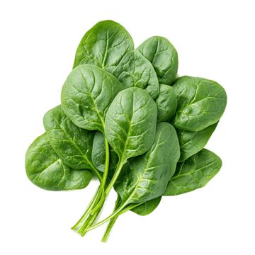 SPINACH