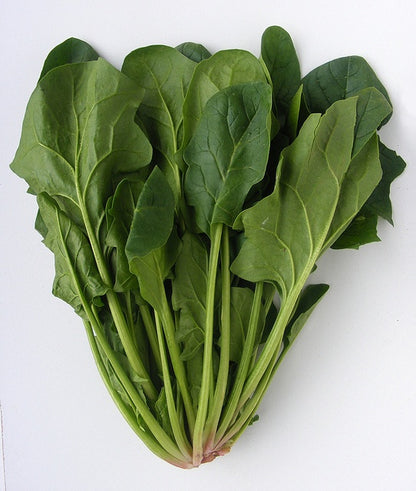 SPINACH